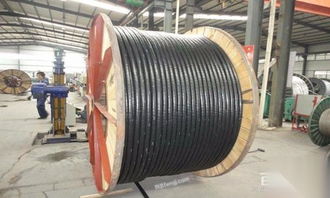 上海再生資源回收利用與廢料處理 電線電纜的“重生之路”在網(wǎng)優(yōu)再生網(wǎng)詳析